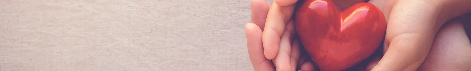 Heart stone cupped in two sets of hands
