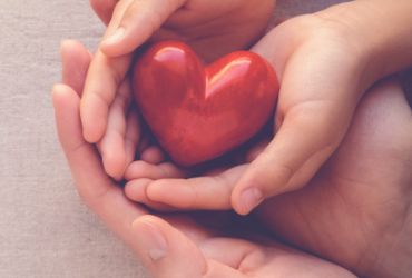 Heart stone cupped in two sets of hands
